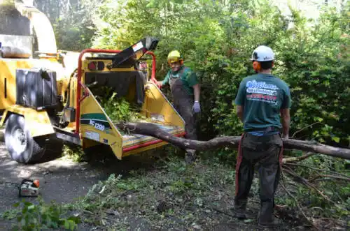 tree services Wasilla